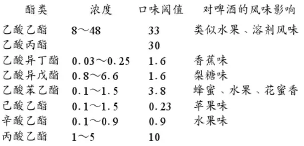 精釀啤酒設備,啤酒廠設備,開辦啤酒廠,發(fā)酵,錐形罐